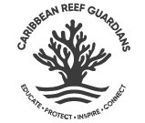caribbean reef guardians@2x